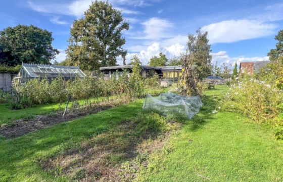 Land for sale in Westfield photo